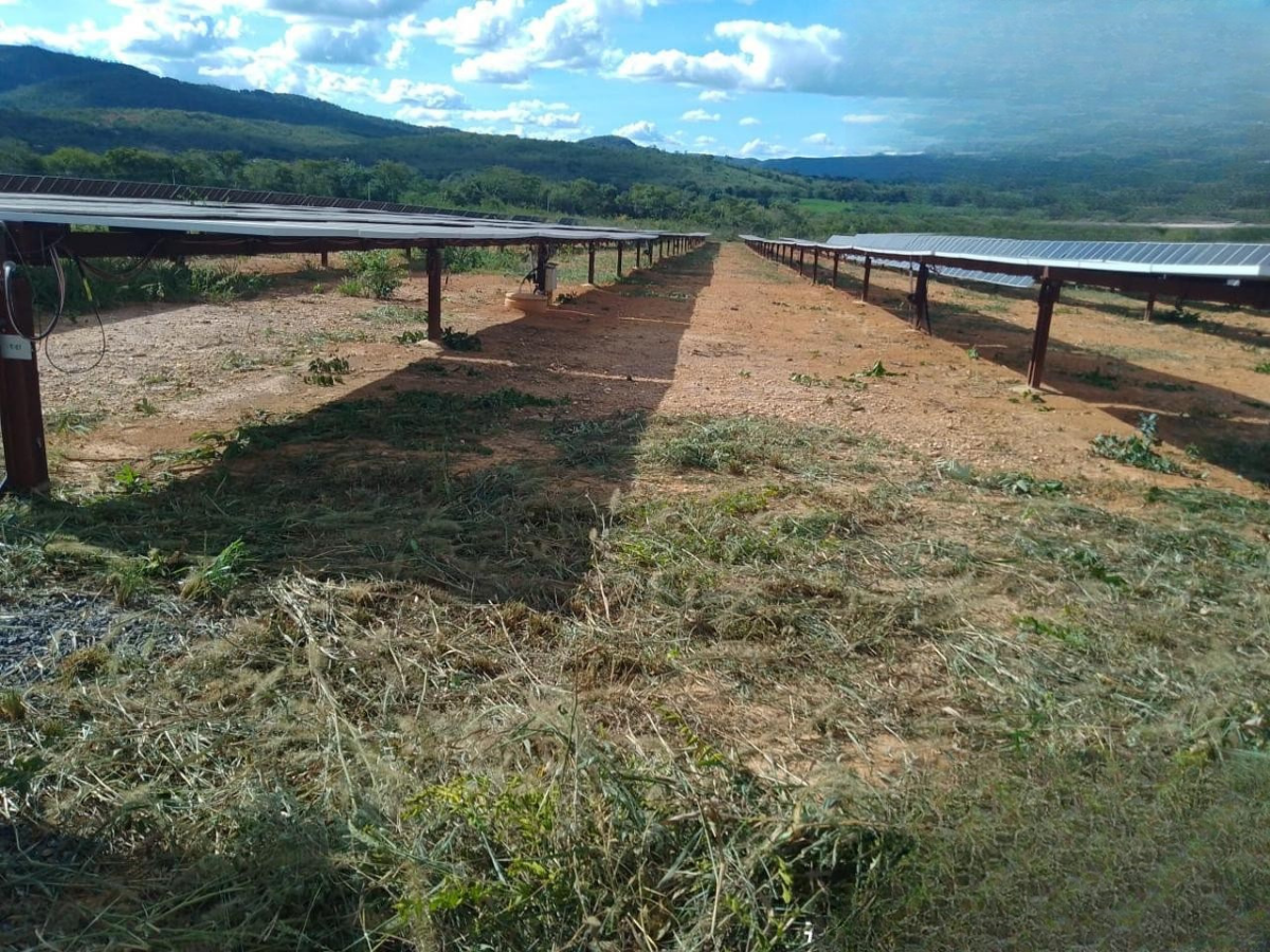 Manutenção da Supressão Vegetal em Usinas Solares